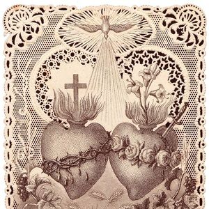 Meet your Posher, Shaggy